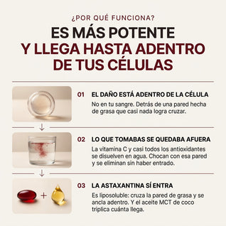 ASTAXANTINA 10 EN 1 | EL ANTIOXIDANTE MÁS PODEROSO DE LA NATURALEZA PARA BIENESTAR INTEGRAL Y PROTECCIÓN CELULAR
