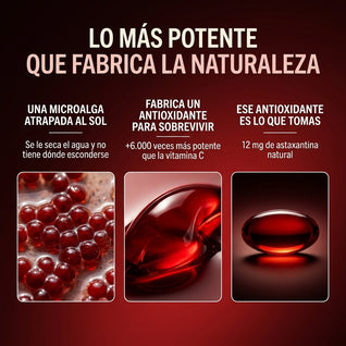 ASTAXANTINA 10 EN 1 | EL ANTIOXIDANTE MÁS PODEROSO DE LA NATURALEZA PARA BIENESTAR INTEGRAL Y PROTECCIÓN CELULAR