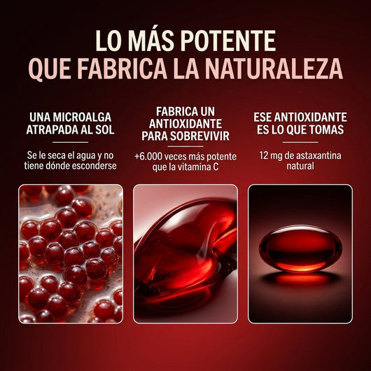 ASTAXANTINA 10 EN 1 | EL ANTIOXIDANTE MÁS PODEROSO DE LA NATURALEZA PARA BIENESTAR INTEGRAL Y PROTECCIÓN CELULAR